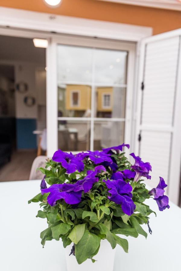Apartment Orlando Tenerife Sur Pluto アデヘ エクステリア 写真
